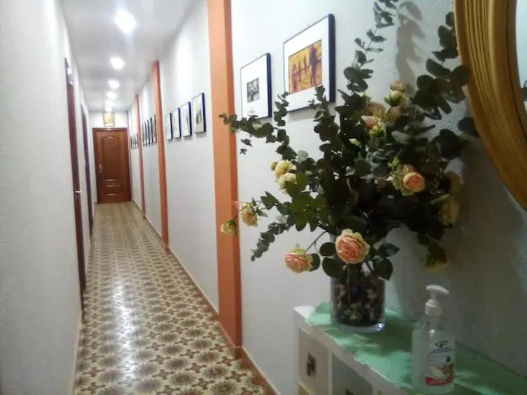 Las Golondrinas Habitacion En Piso Centrico Para Una O Dos Personas Zaragoza Exteriör bild